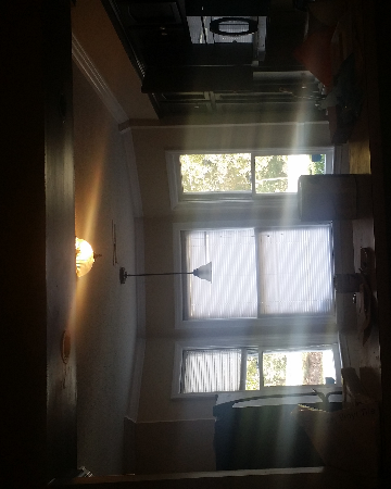 3203 Cypress Park Rd #C - Photo 4 of 22