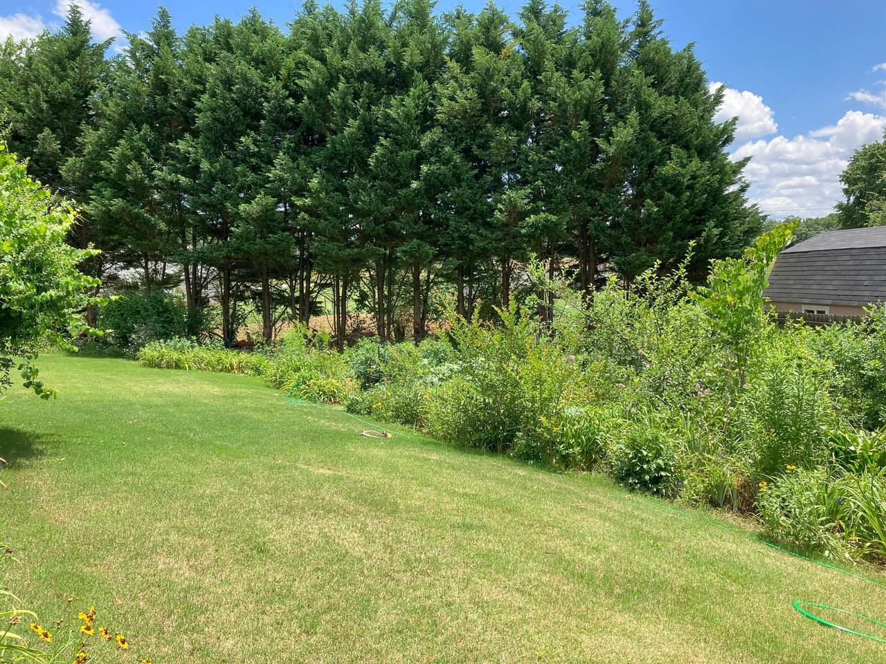 86 Clydes Way - Photo 3 of 19