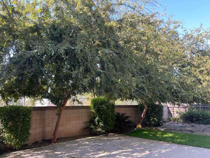 1344 S Bailey Ave - Photo 4 of 4