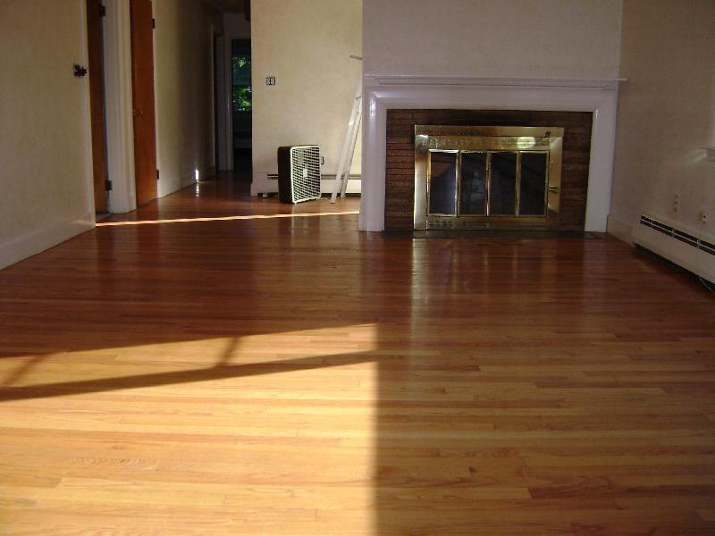 Waverley St #2 - Photo 3 of 45
