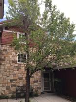 3303 Molly Ln - Photo 1 of 1