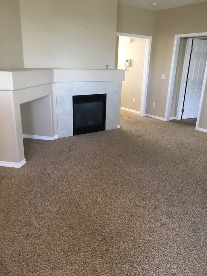 3303 Molly Ln - Photo 2 of 18