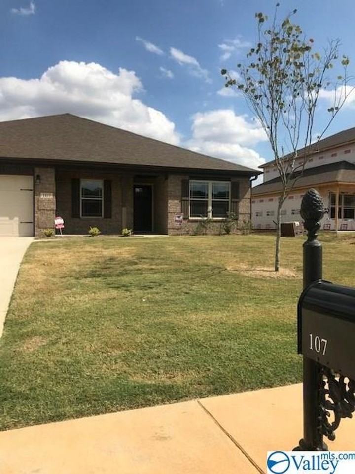 107 Hulsey Ln - Photo 6 of 9