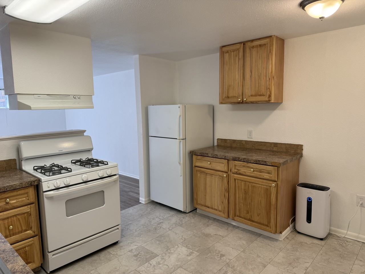 616 S Harrison St #C - Photo 6 of 11