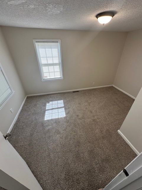 557 3rd Ave #1 - Photo 6 of 11