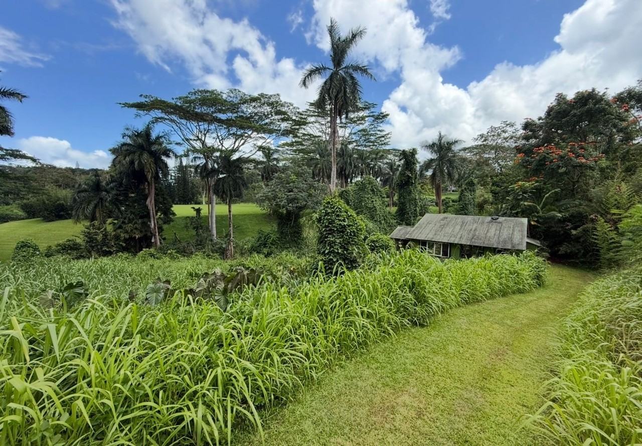 4641-F Kuawa Rd