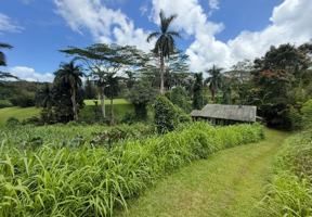 featured image of 4641-F Kuawa Rd