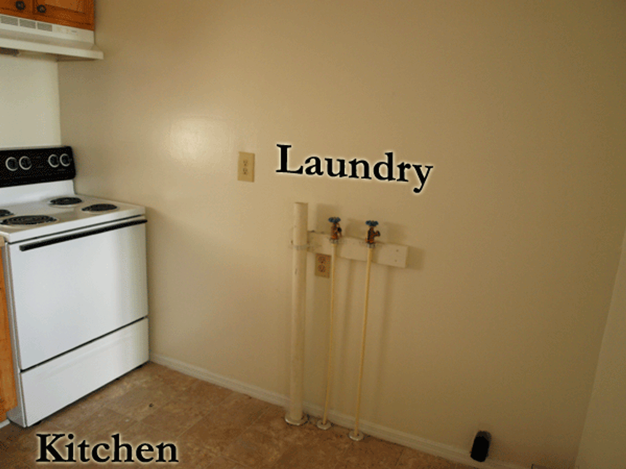 132 Dogwood Pointe Dr #1 - Photo 6 of 14