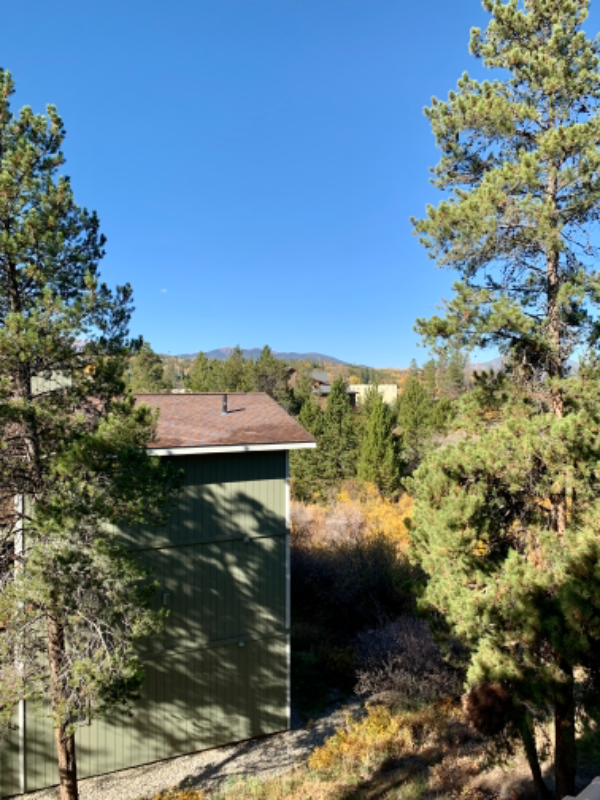 471 Hi Country Dr - Photo 6 of 12