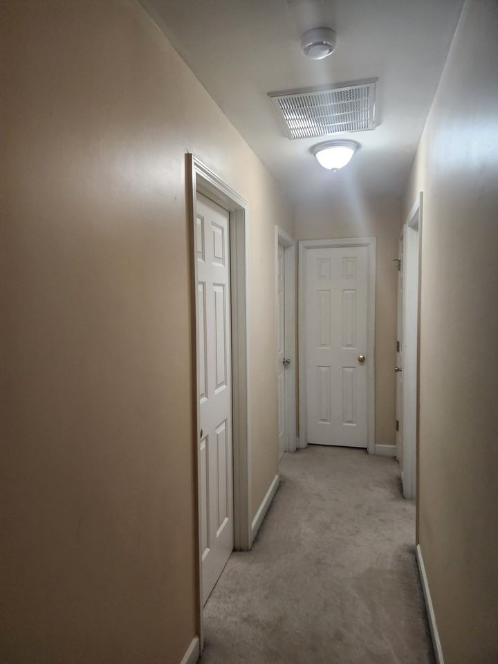 4227 Painted Trillium Ct - Photo 6 of 11