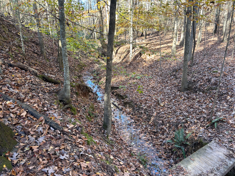 6970 Heard Rd - Photo 3 of 25