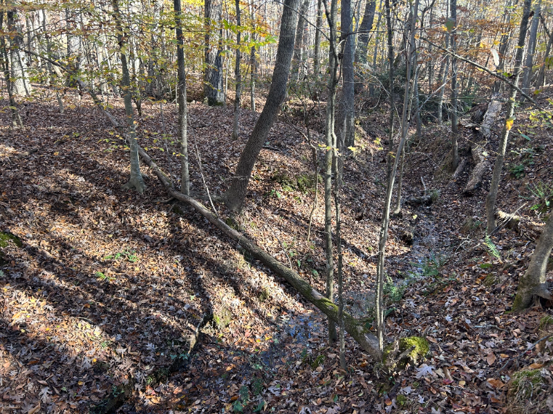 6970 Heard Rd - Photo 5 of 25