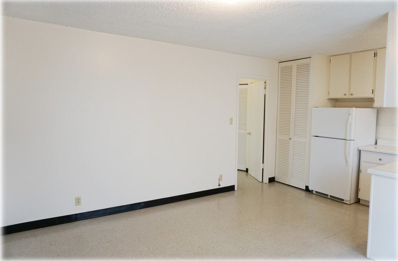 1254 Lunalilo St #303 - Photo 3 of 10