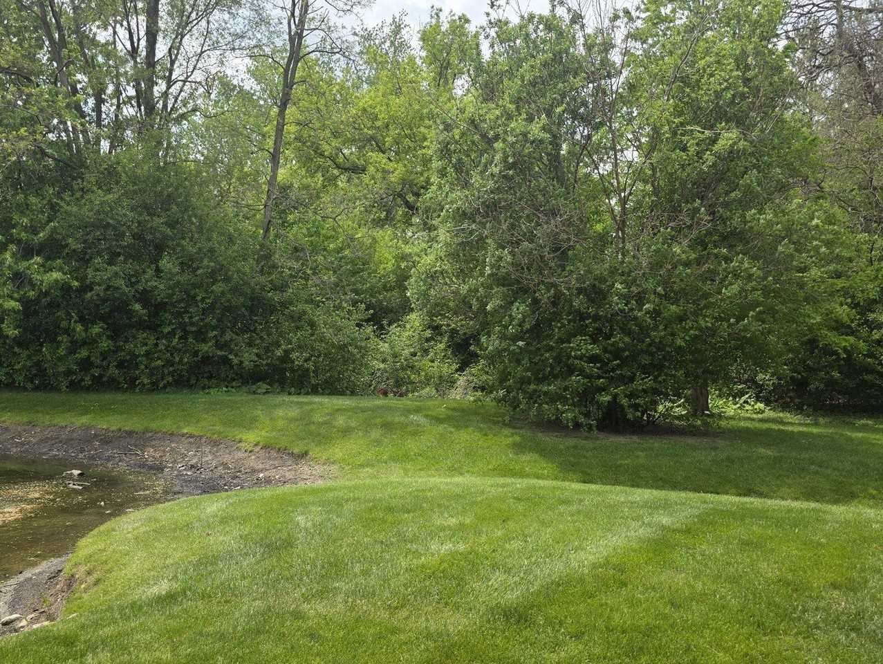 422 N Lake Shore Dr #422 - Photo 5 of 19