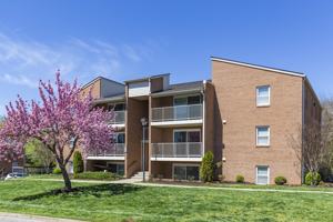 featured image of 128 Rutledge Dr