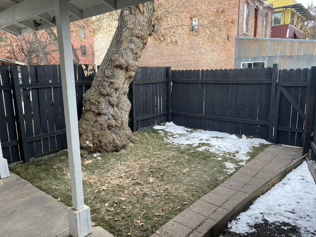 811 Woody St - Photo 3 of 10