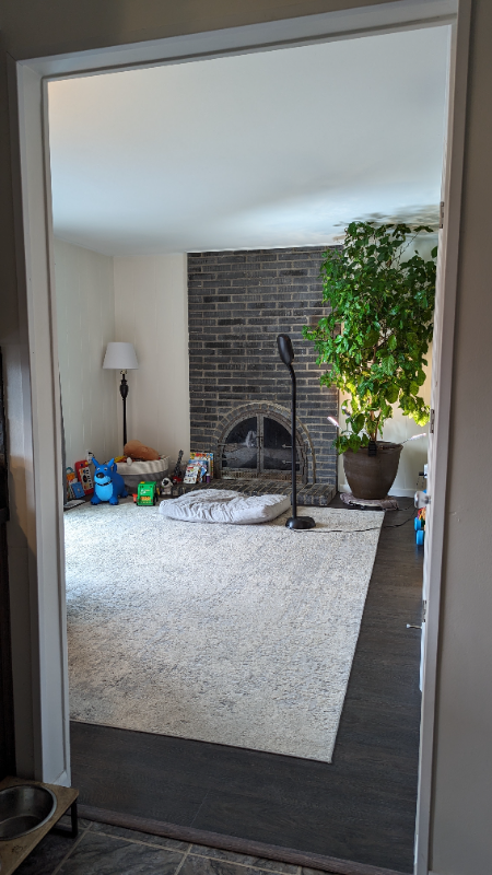 2735 Foster Ave - Photo 7 of 21