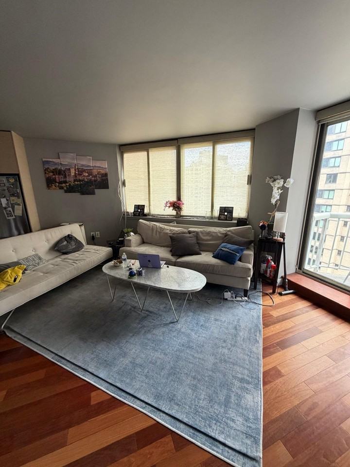 206 E 95th St #15B - Photo 3 of 20