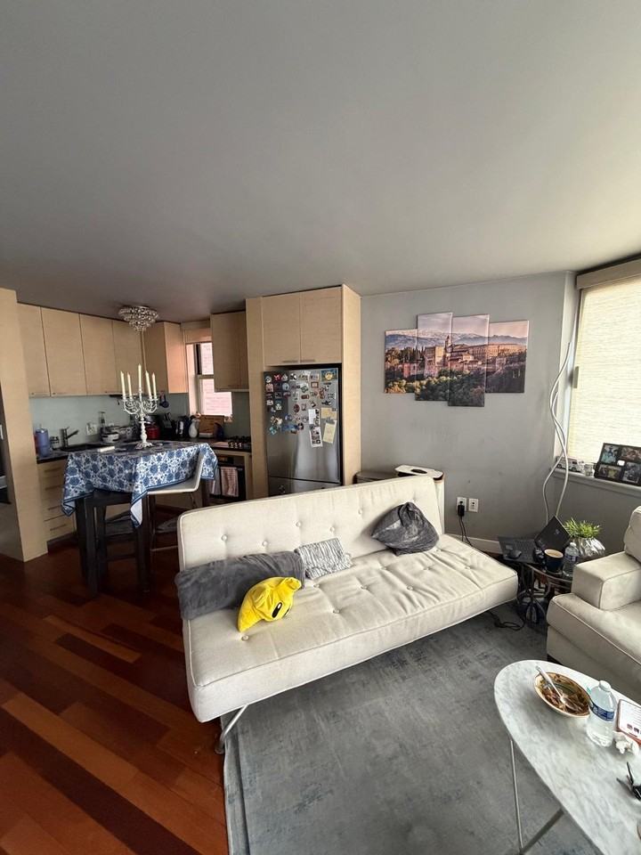 206 E 95th St #15B - Photo 4 of 20