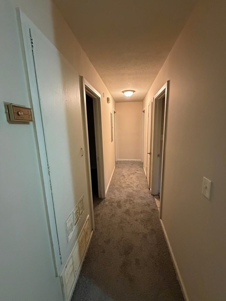 1537 Celia Dr - Photo 6 of 11