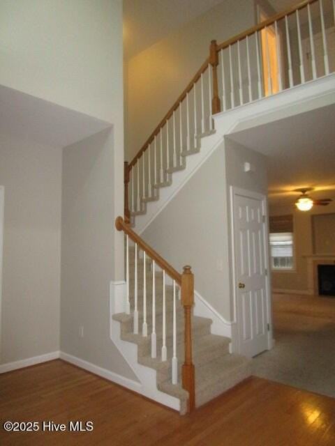106 Beach Haven Cv - Photo 3 of 16