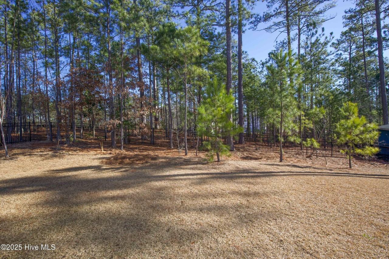 660 Avenue Of The Carolinas - Photo 4 of 50