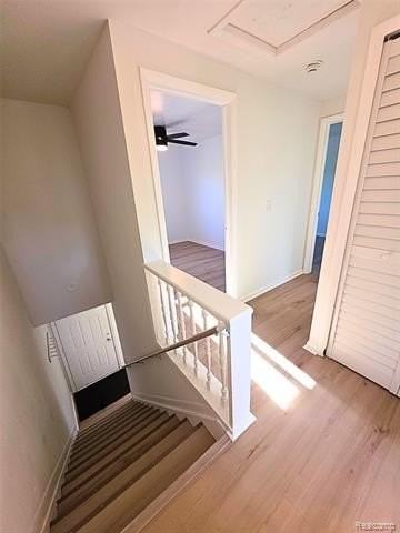 240 S Shirley St - Photo 4 of 10