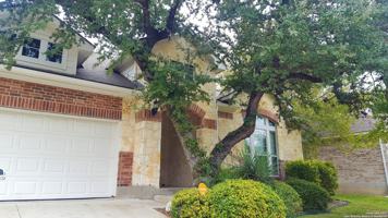 featured image of 4426 James Bowie