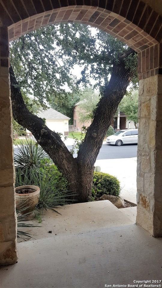 4426 James Bowie - Photo 3 of 14