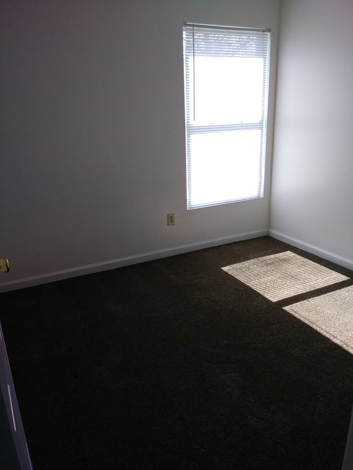 Village at Curry Apartments - Photo 4 of 22