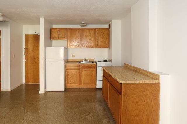 7333 N Ridge Blvd #112 - Photo 3 of 16