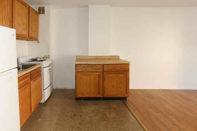 7333 N Ridge Blvd #112 - Photo 5 of 16