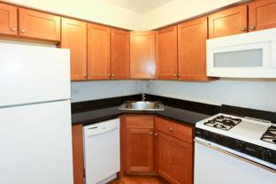 525 W Oakdale Ave #510 - Photo 1 of 1