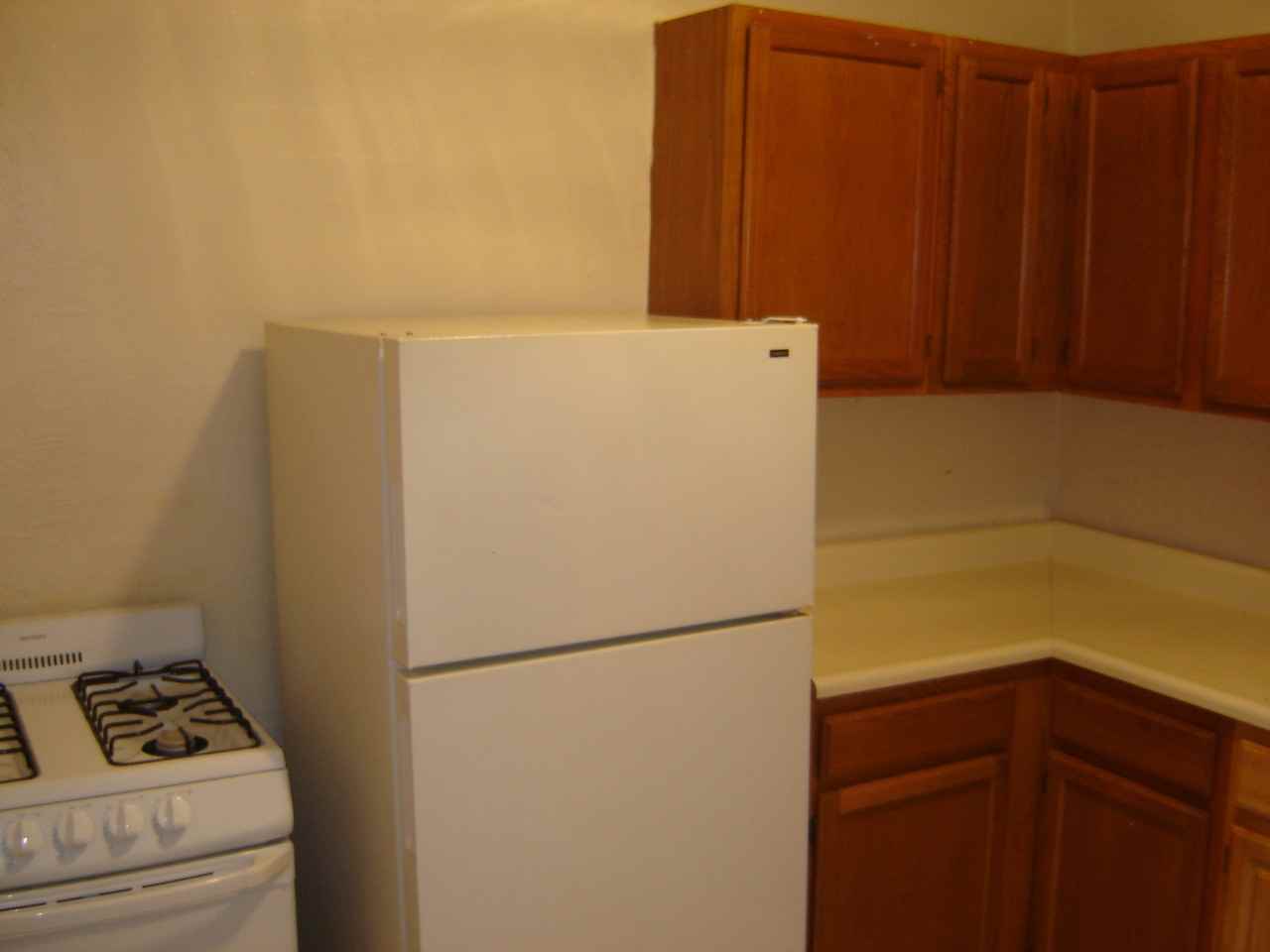 1715- Commonwealth Avenue - Photo 6 of 19