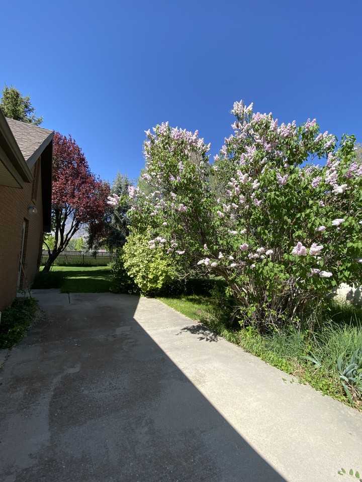 580 W Maple St #NA - Photo 6 of 37