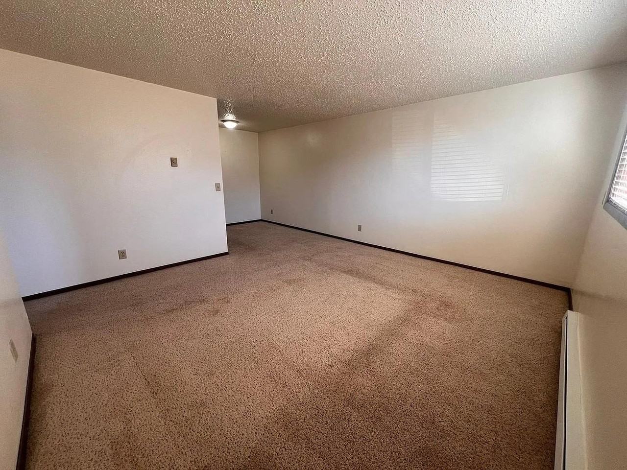 Baron Properties - Photo 7 of 30