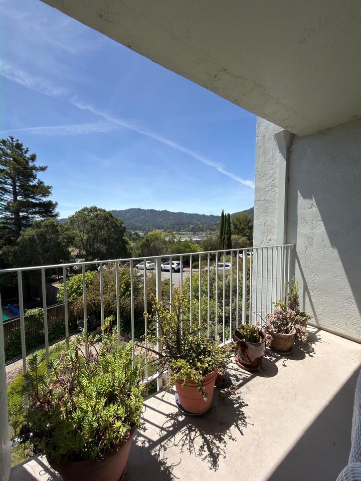 173 Lower Via Casitas - 1 #1 - Photo 3 of 18