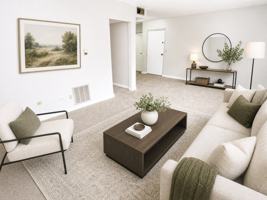 featured image of 246 Elliott Rd #246