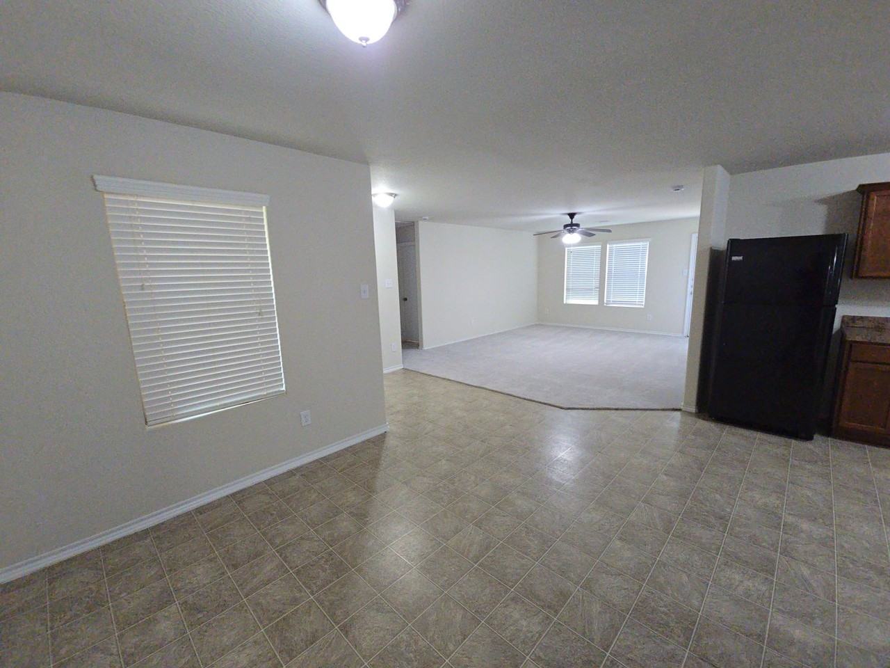 810 Lightningbug Ln - Photo 6 of 27