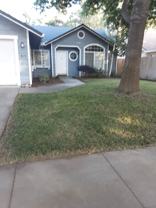 819 Black Walnut Way #1 - Photo 1 of 1