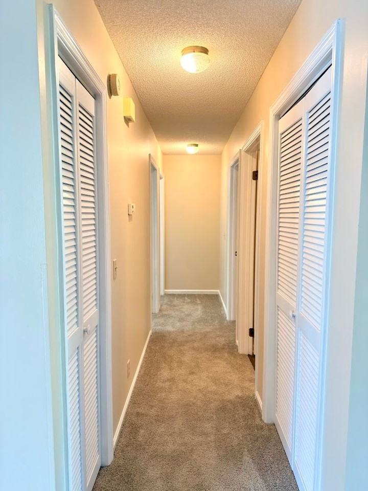 202 Cypress Dr - Photo 5 of 15