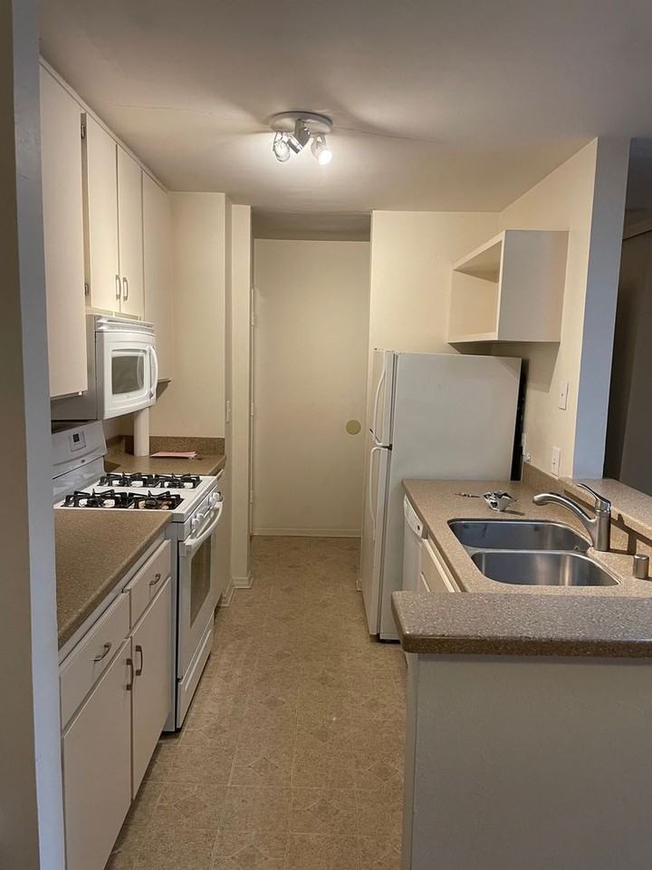 1621 Hotel Cir S #E326 - Photo 4 of 18