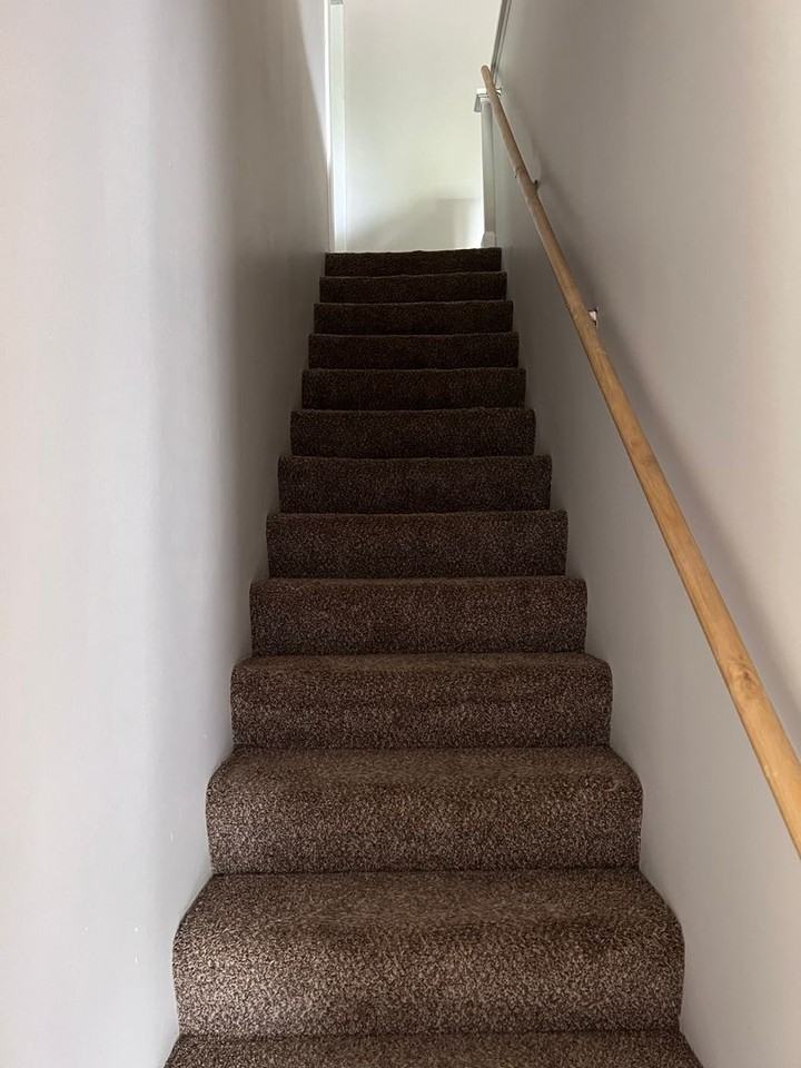 1329 16th Ave S - Photo 6 of 13