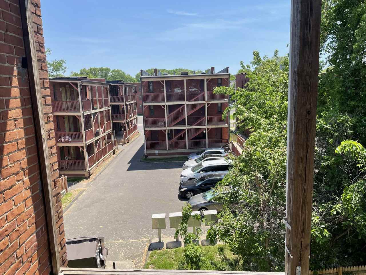 905 Park Street #C1 - Photo 4 of 15