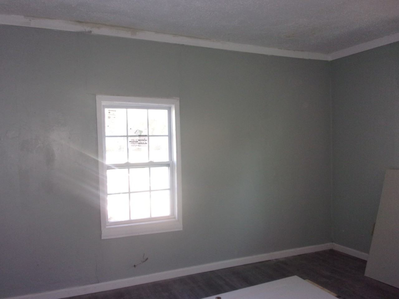 803 Richmond Ave - Photo 5 of 17