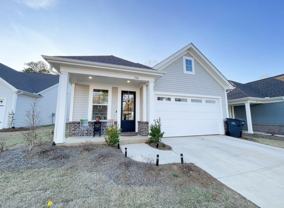 736 Turkey Oak Cv - Photo 1 of 1