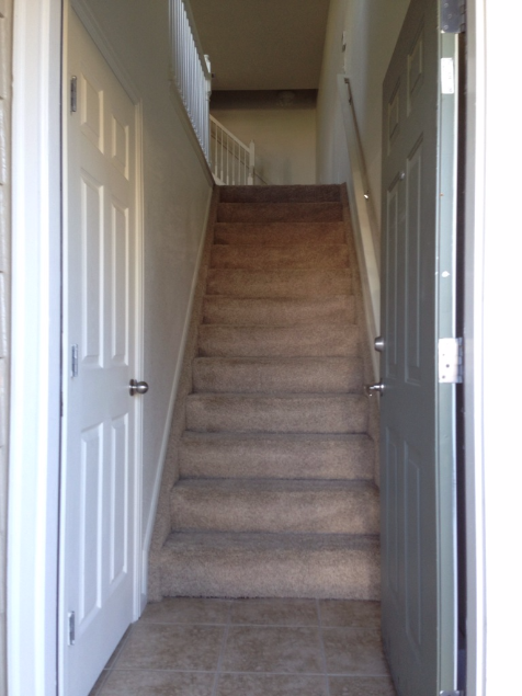 431 Black Feather Loop Apt 818 - Photo 7 of 17