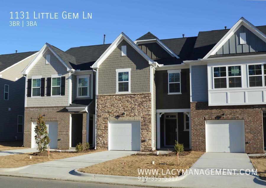 1131 Little Gem Ln - Photo 2 of 25