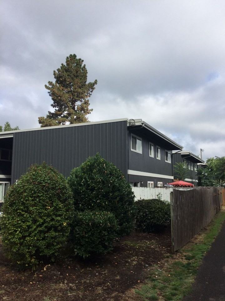 1247we - Photo 3 of 16