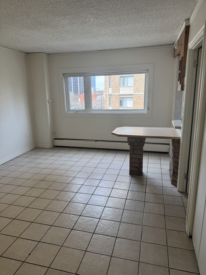 9830 105 Street Northwest #505 - Photo 4 of 12
